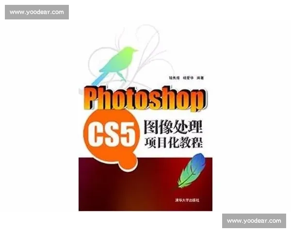 全面掌握后期剪辑基础技巧与流程的系统化入门实用全程操作指南